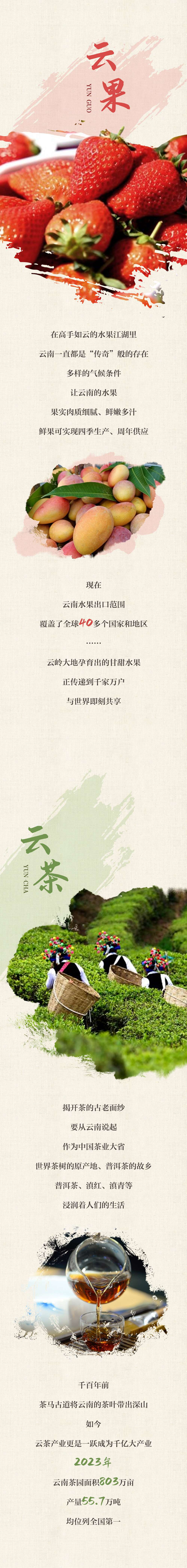 云南是个形容词③｜物产丰饶