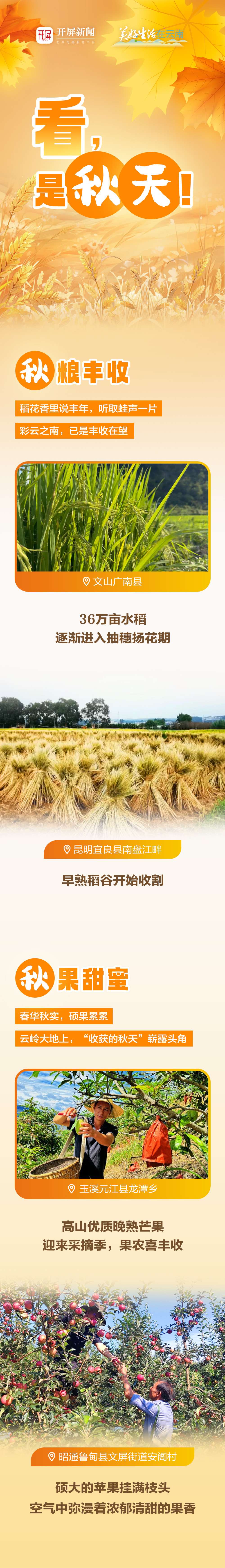 看，是秋天！