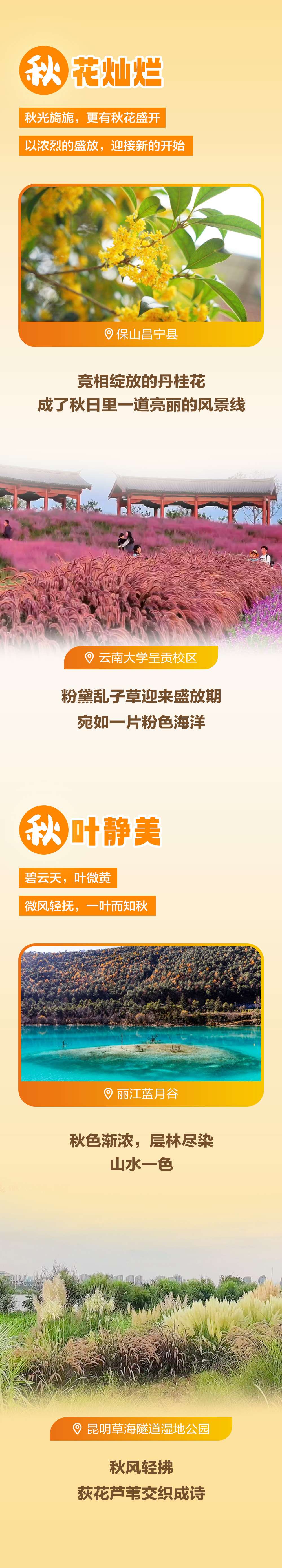 看，是秋天！