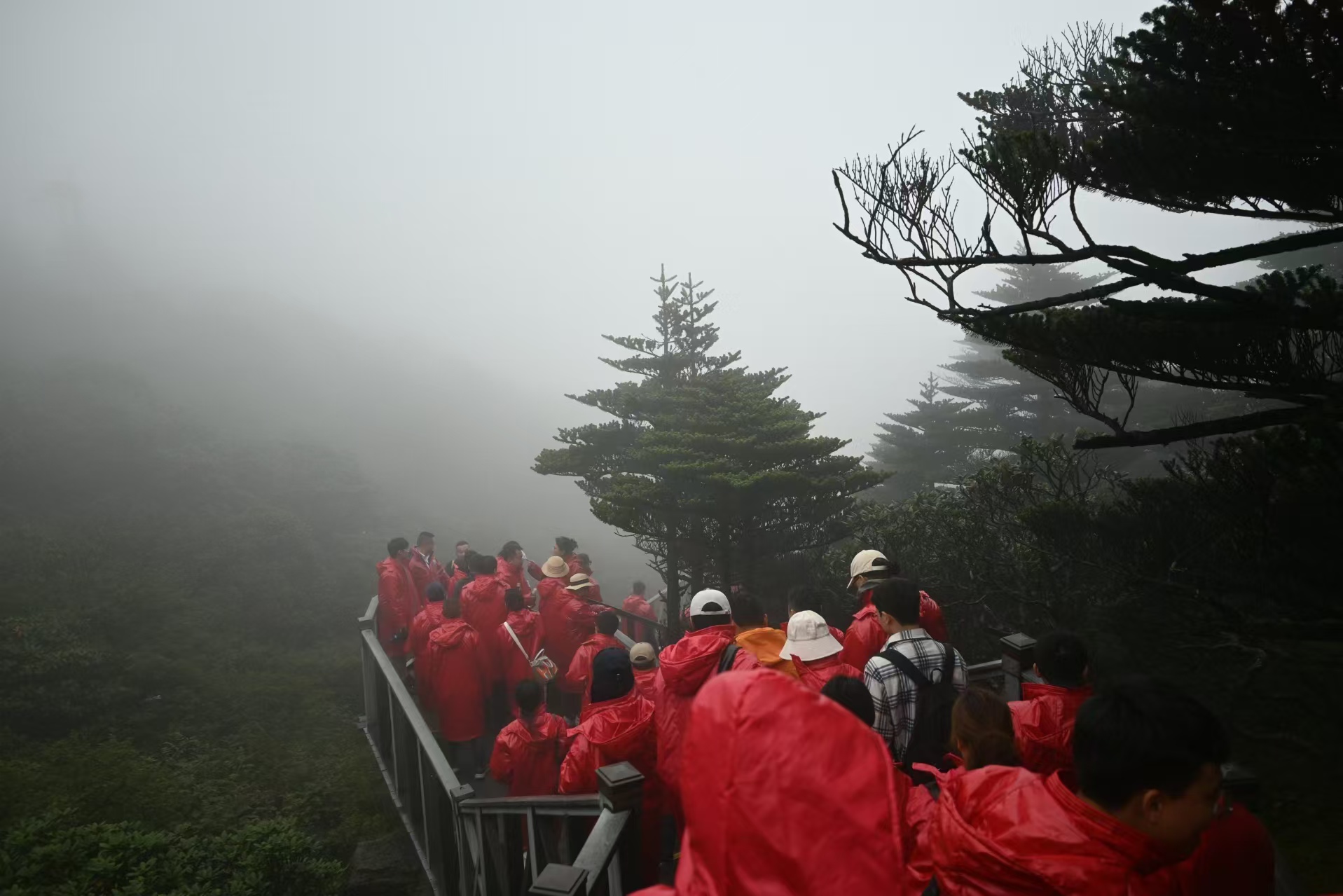苍山.jpg