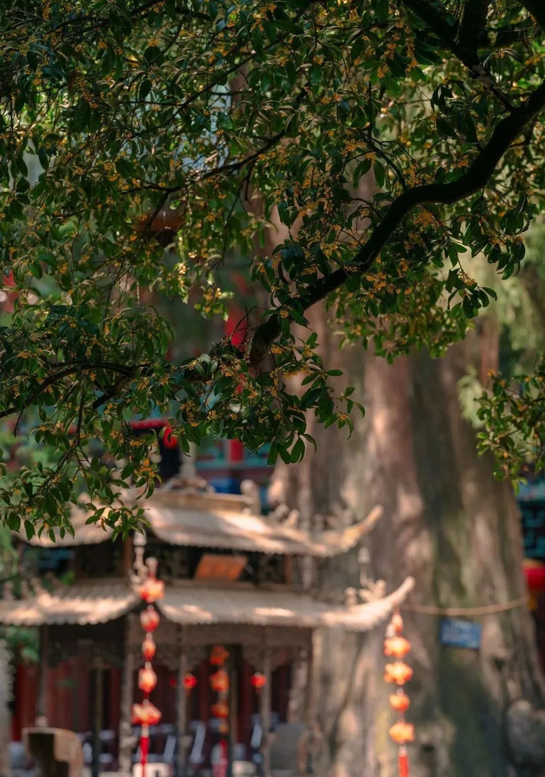微信图片_20240913235521.jpg