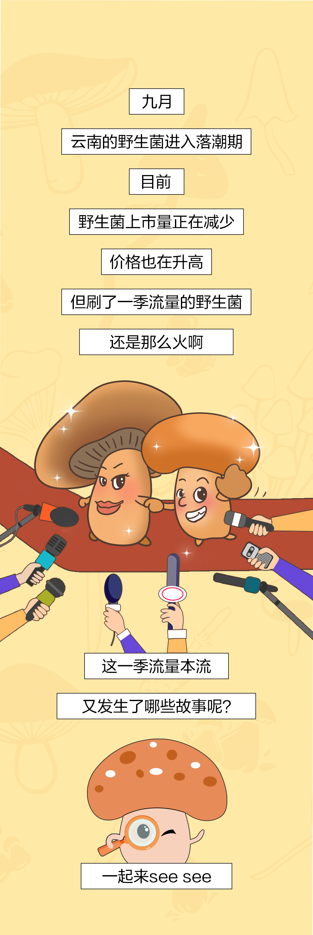 吃菌人2024版丨顶流即将隐退？！是时候做这件大事了