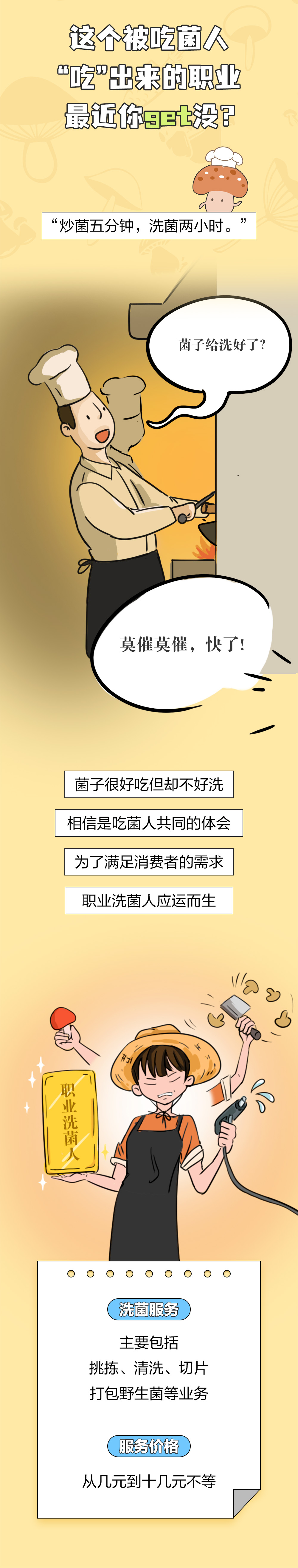 吃菌人2024版丨顶流即将隐退？！是时候做这件大事了