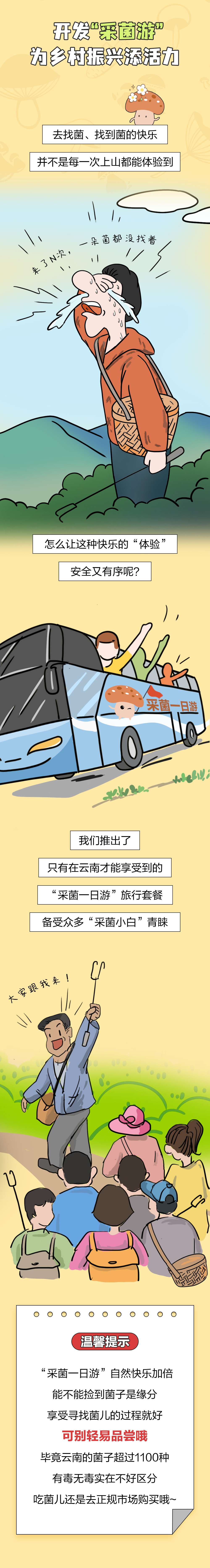 吃菌人2024版丨顶流即将隐退？！是时候做这件大事了