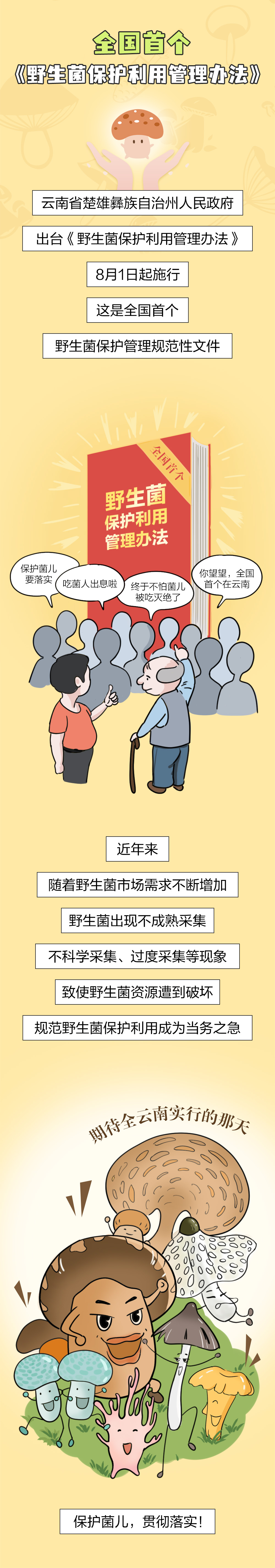 吃菌人2024版丨顶流即将隐退？！是时候做这件大事了