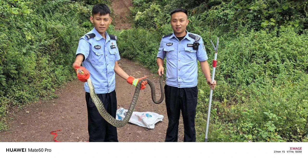 蛇出没！胆小勿入1.jpg