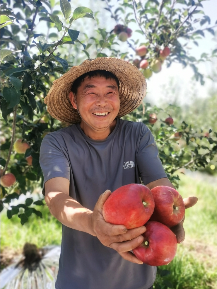 昭通苹果 莫娟 摄.png