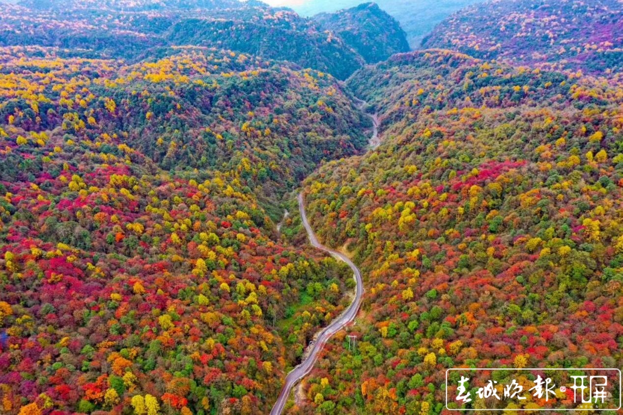 彝良小草坝惊现美丽乡村公路6.jpg