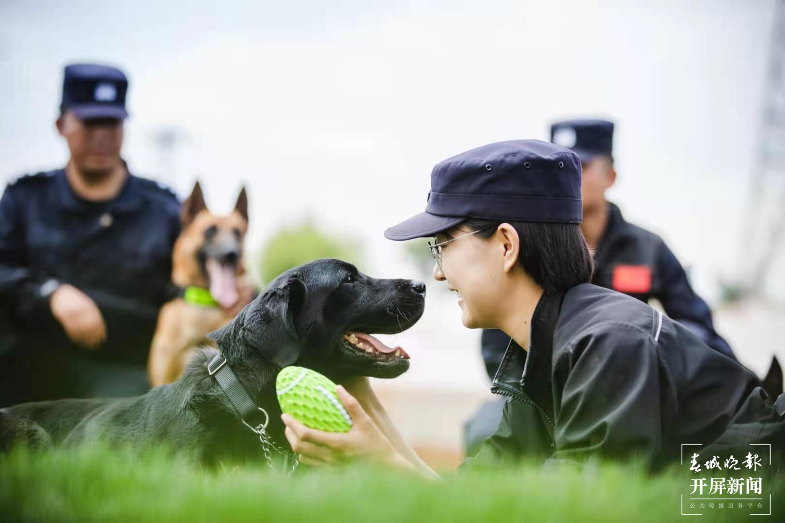 警犬训导员（春城晚报-开屏新闻记者 张勇 通讯员 张晋嘉 摄）