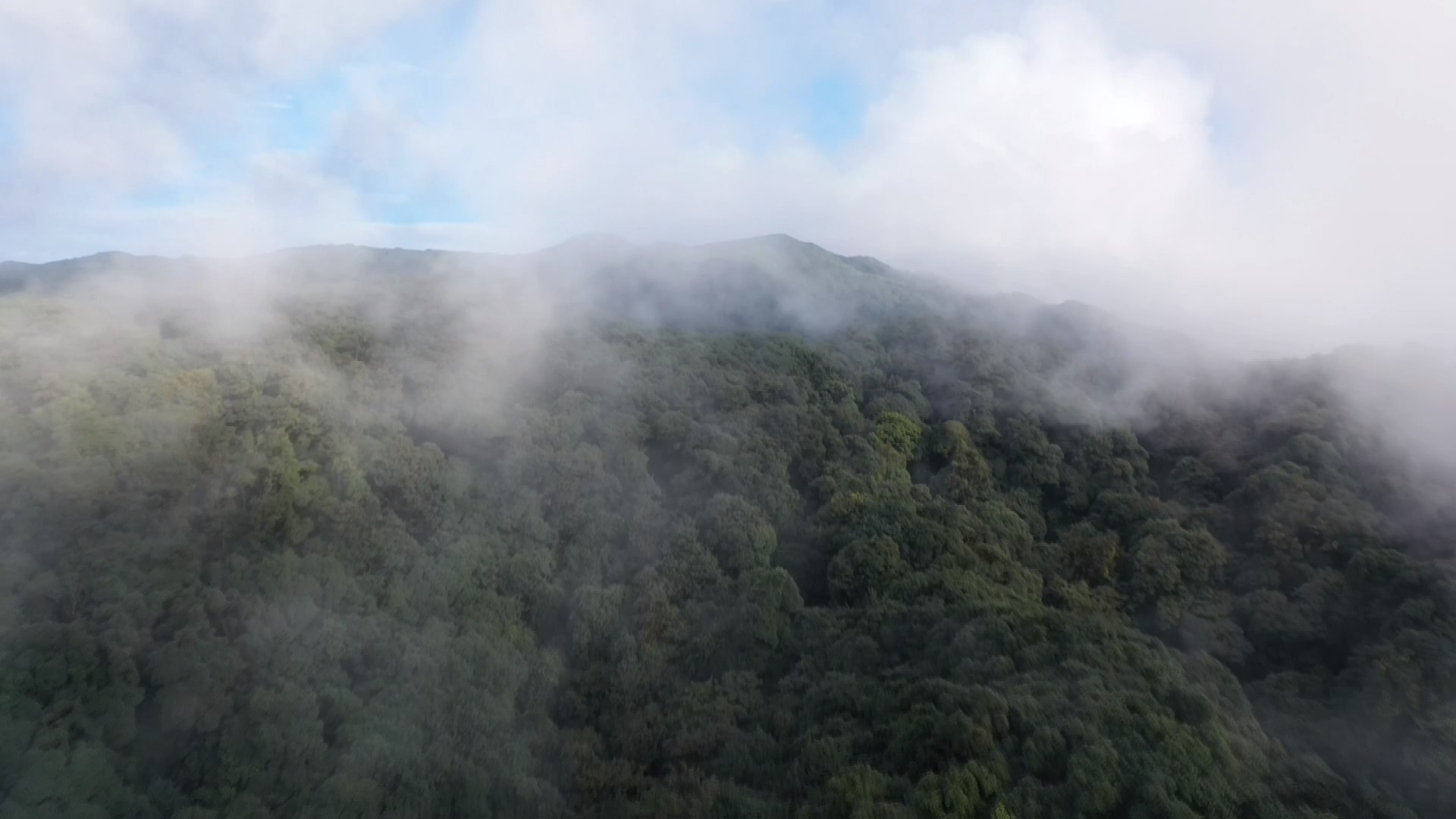 哀牢山.JPG