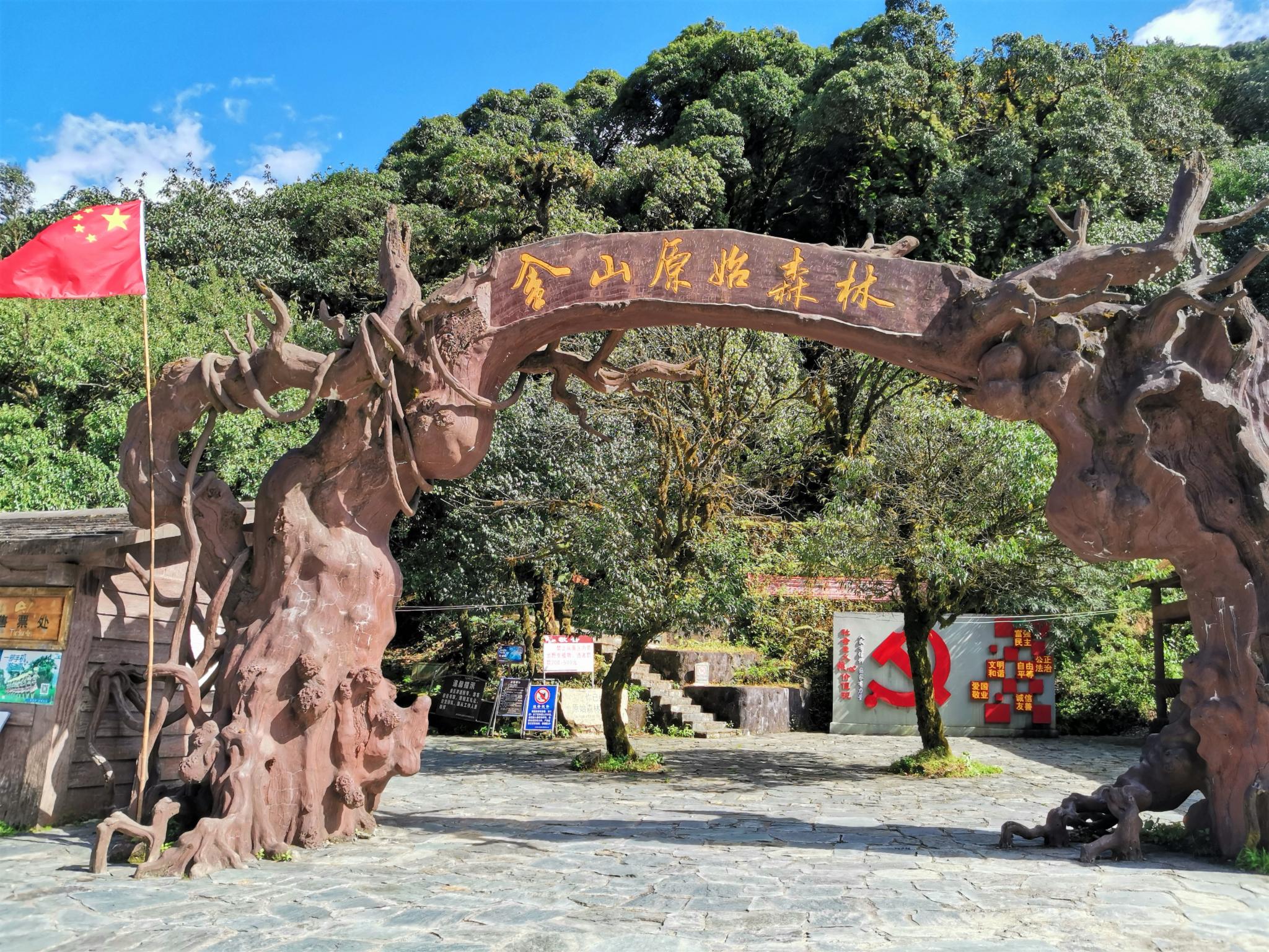 金山原始森林.jpg