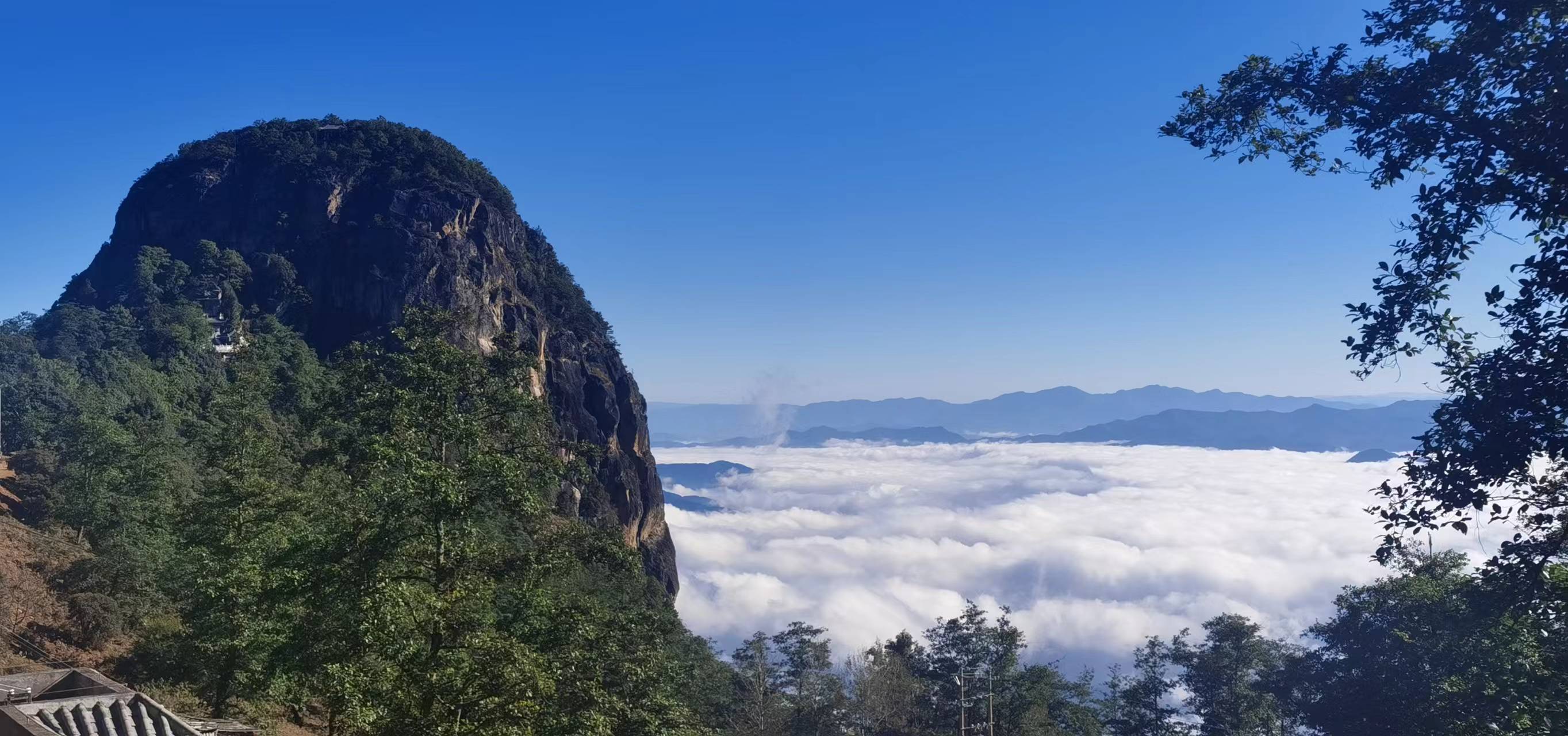 哀牢山内风景2.jpg