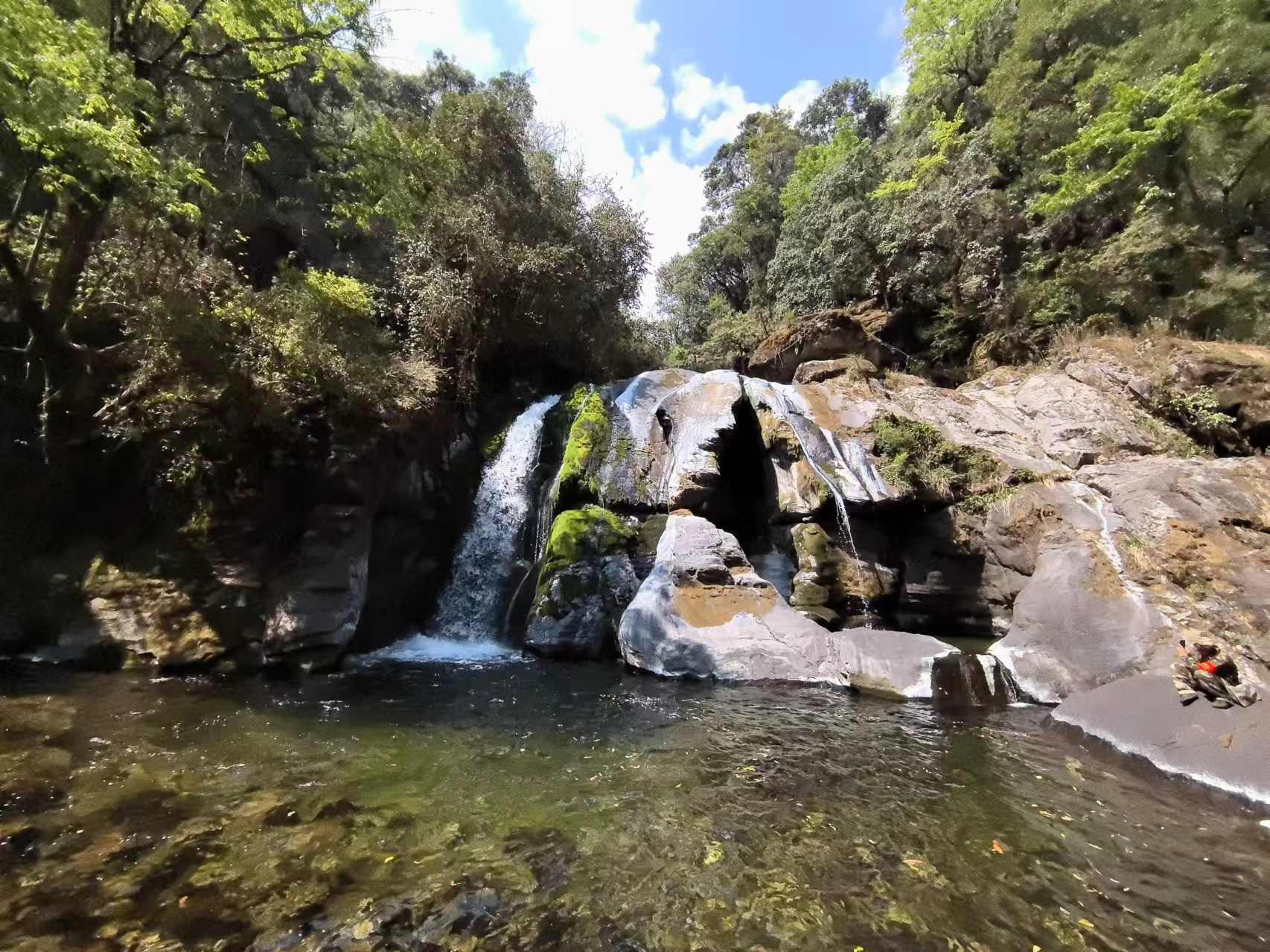 哀牢山内风景1.jpg