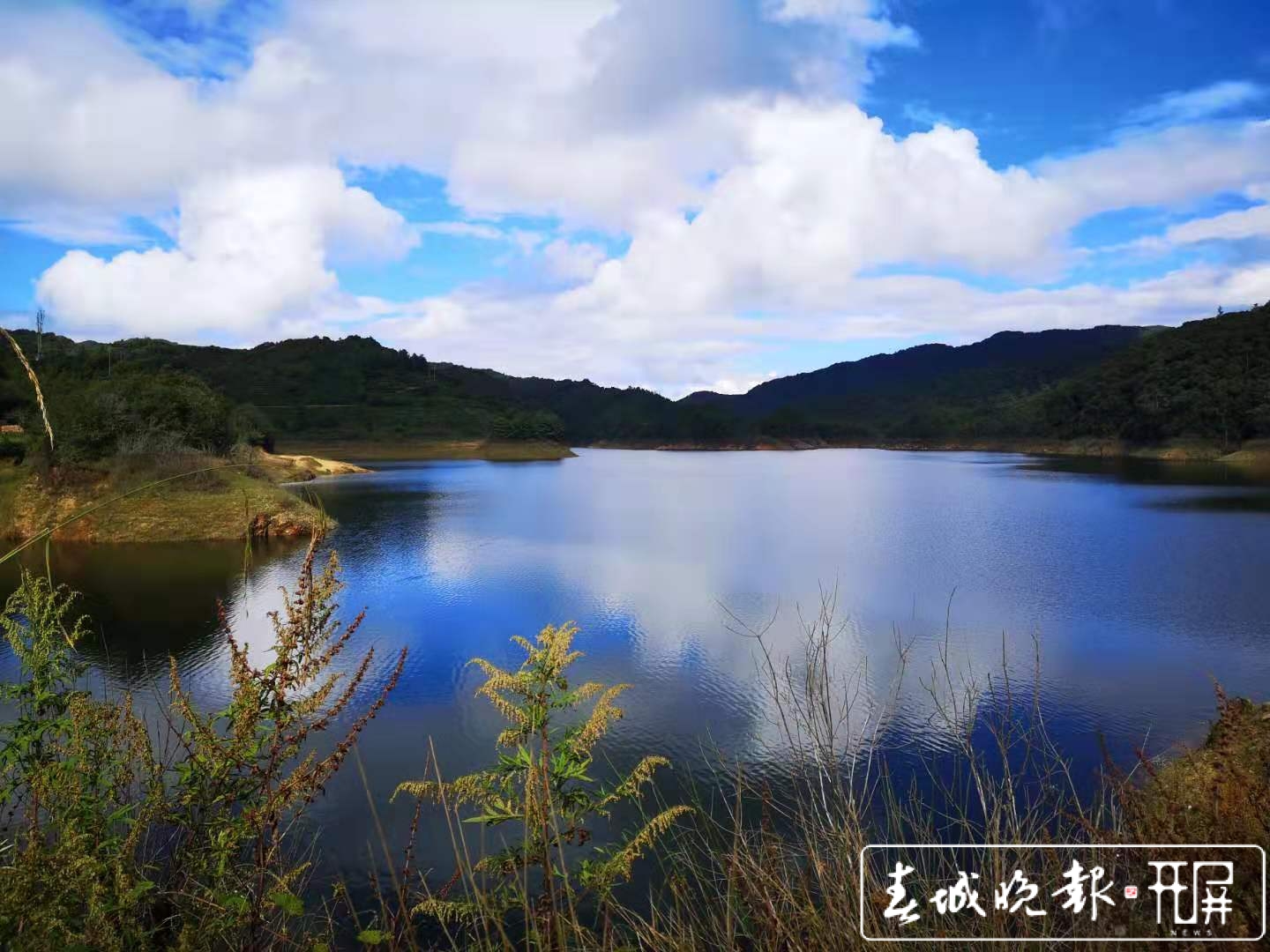 云南申报建设哀牢山-无量山国家公园科考启动 (3).jpg