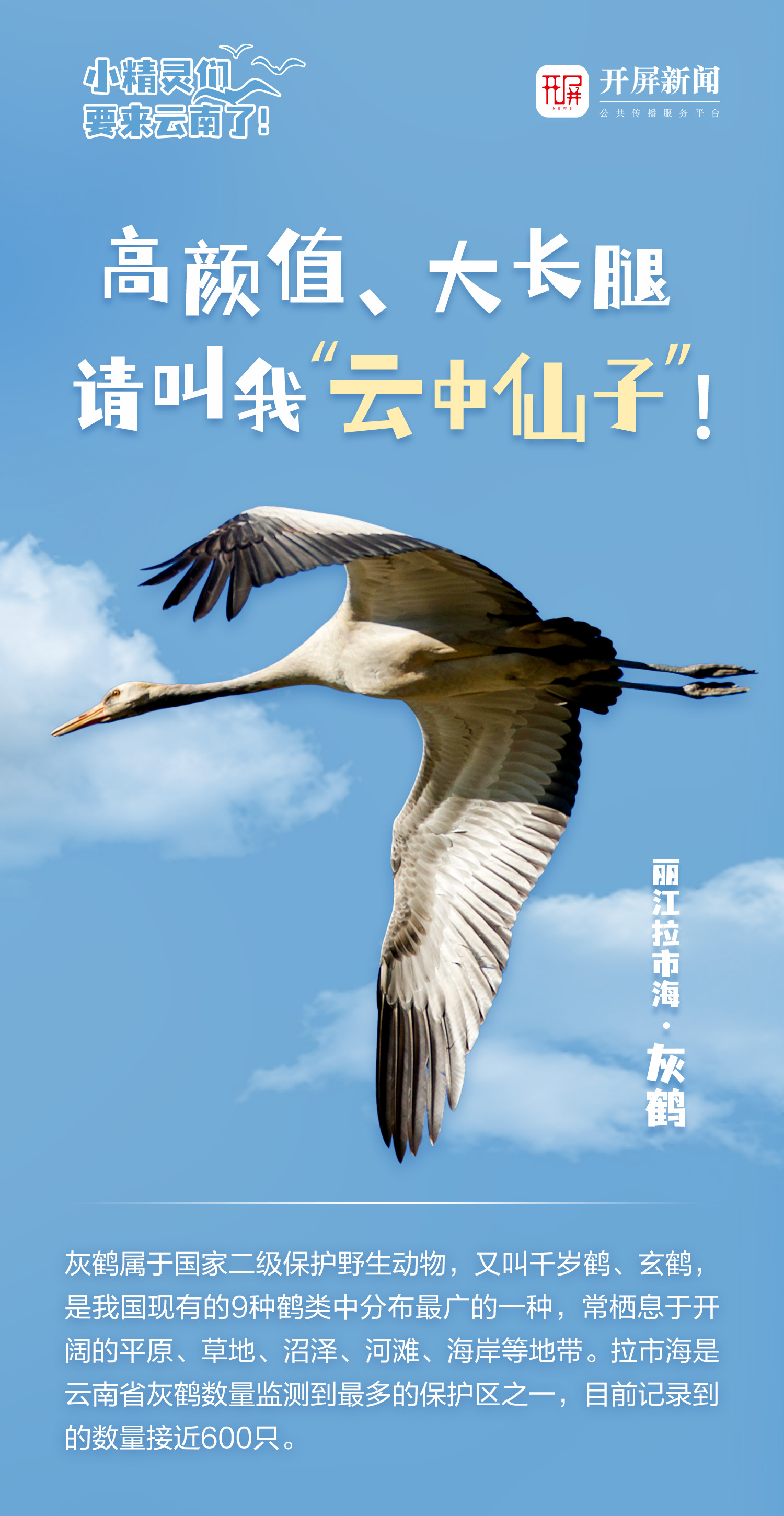开屏策划｜小精灵们，要来云南了！
