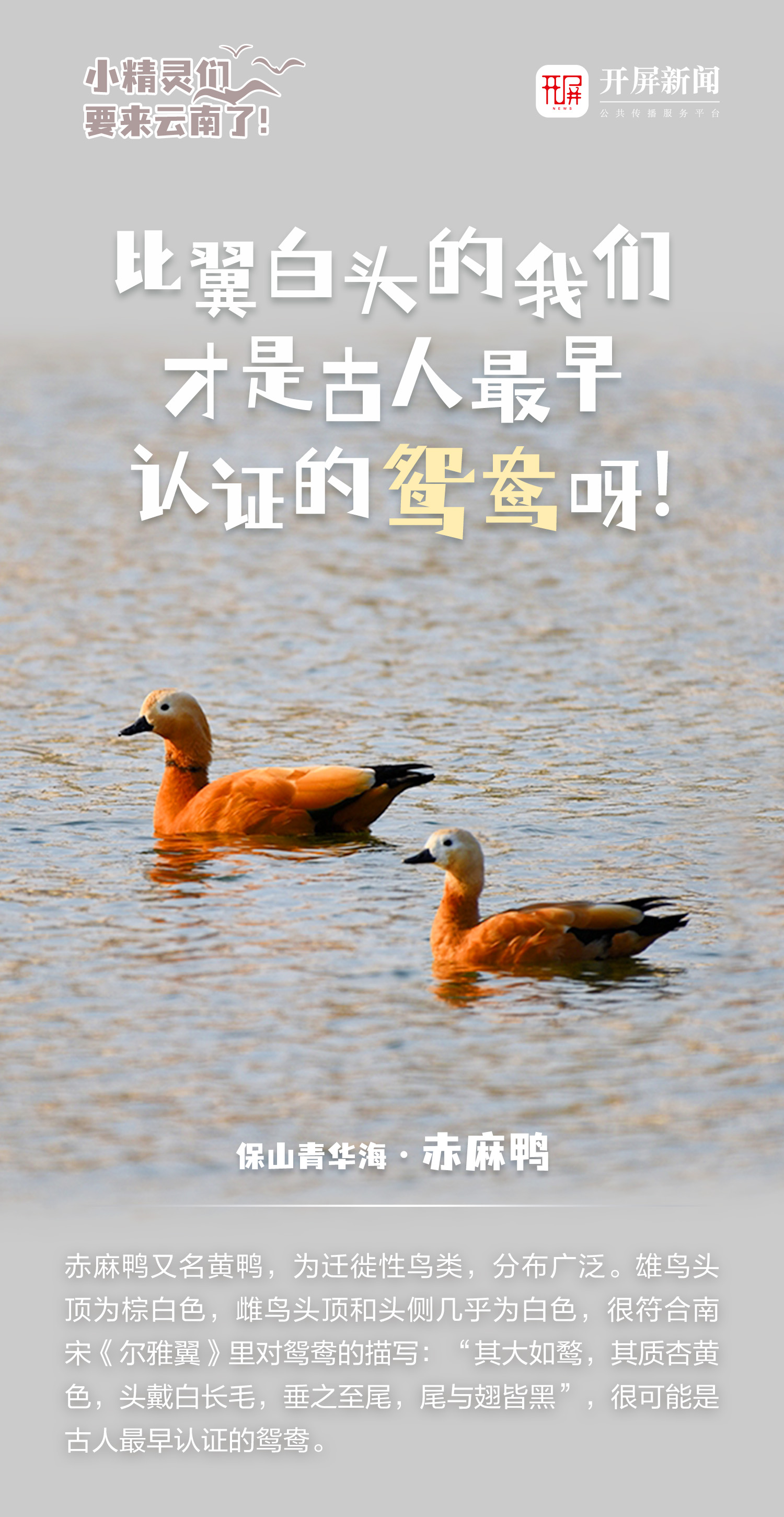 微信图片_20241012173905.jpg