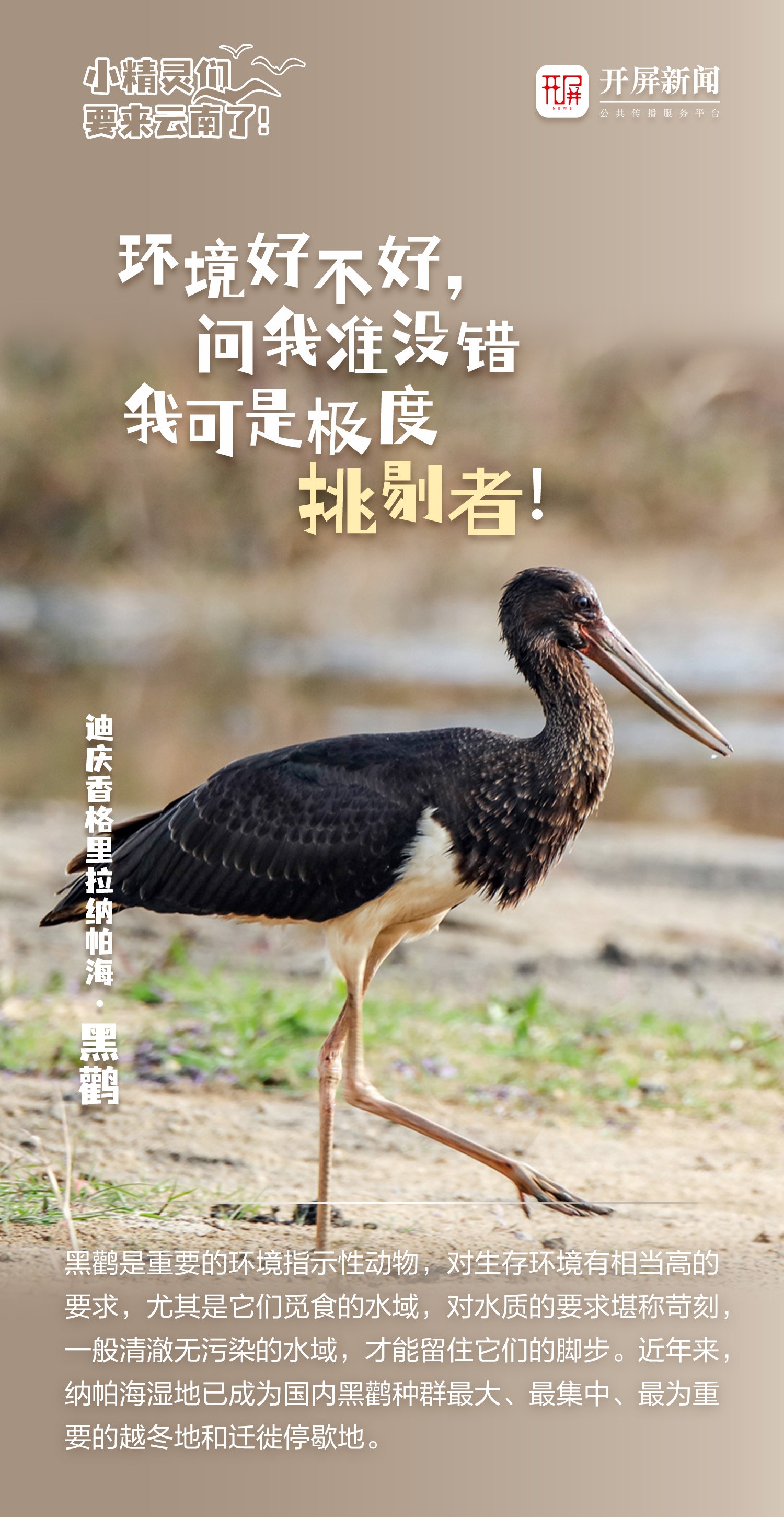 微信图片_20241012174702.jpg