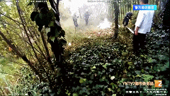 640.gif