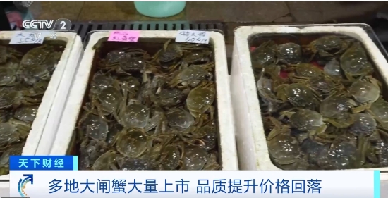 降价了 你爱吃的它.png