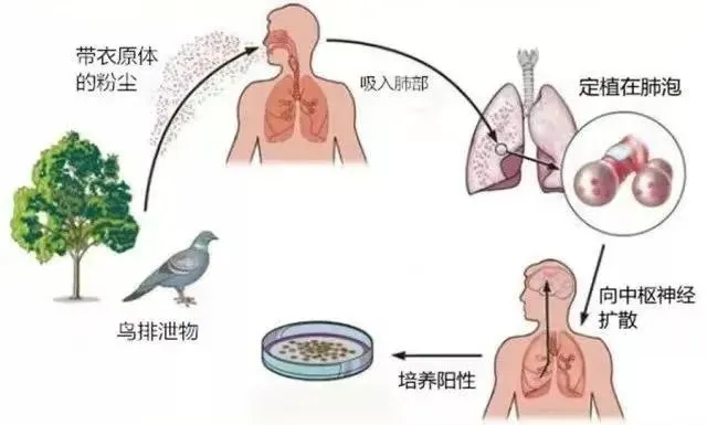 母女俩双双确诊，严重可致死！紧急提醒
