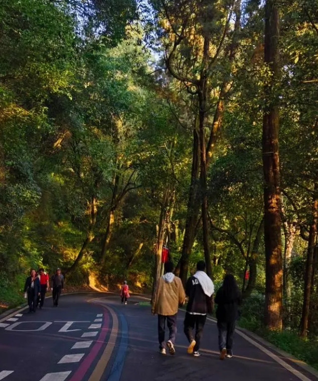 西山风景名胜区登山赏秋游客来来往往 都市时报 记者 姜洁 摄.png