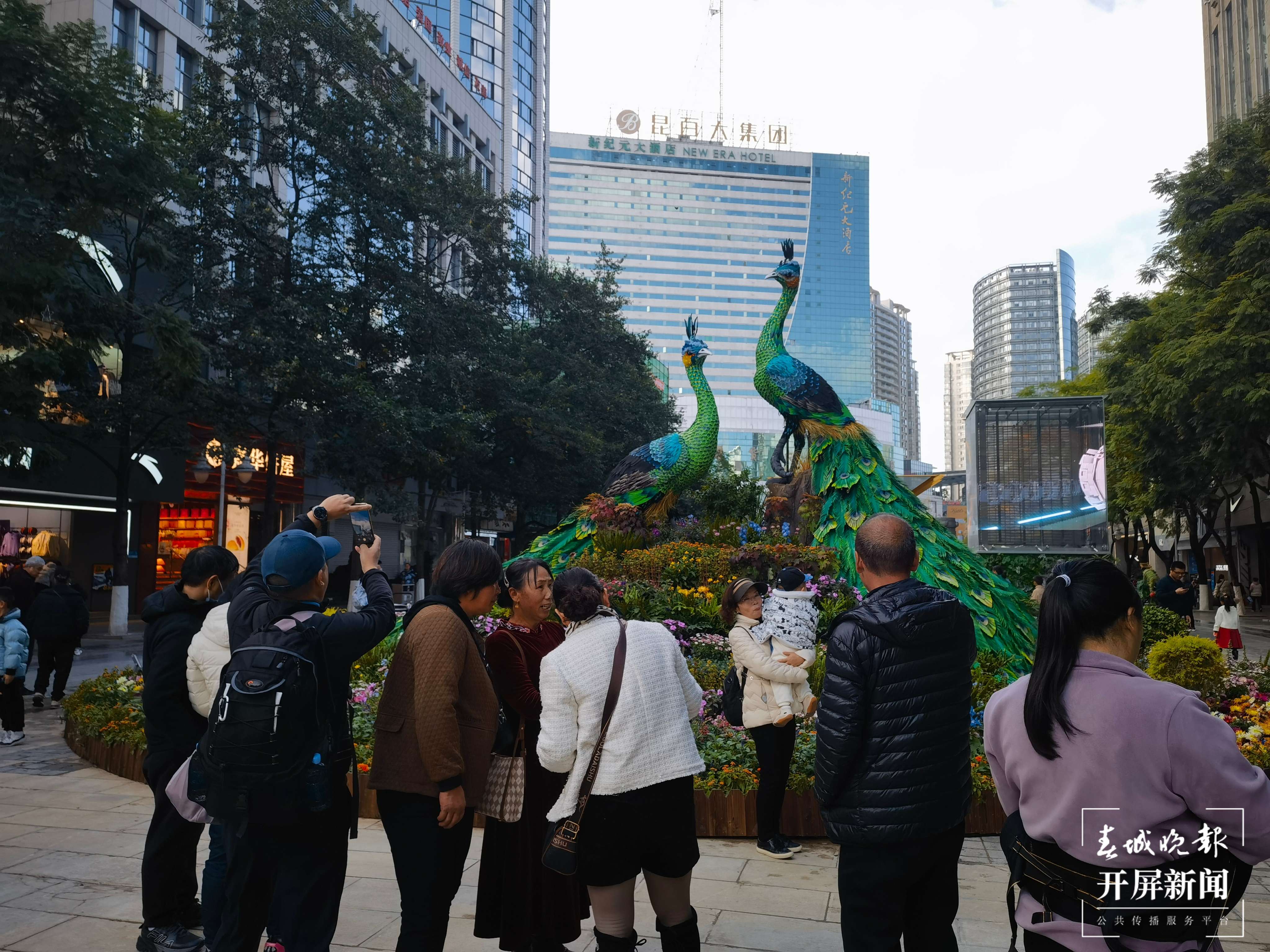孔雀花坛.jpg