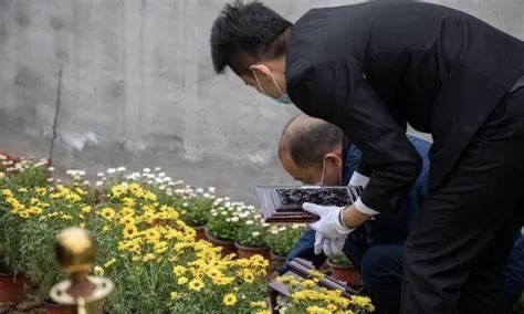 微信图片_20250401151159.jpg