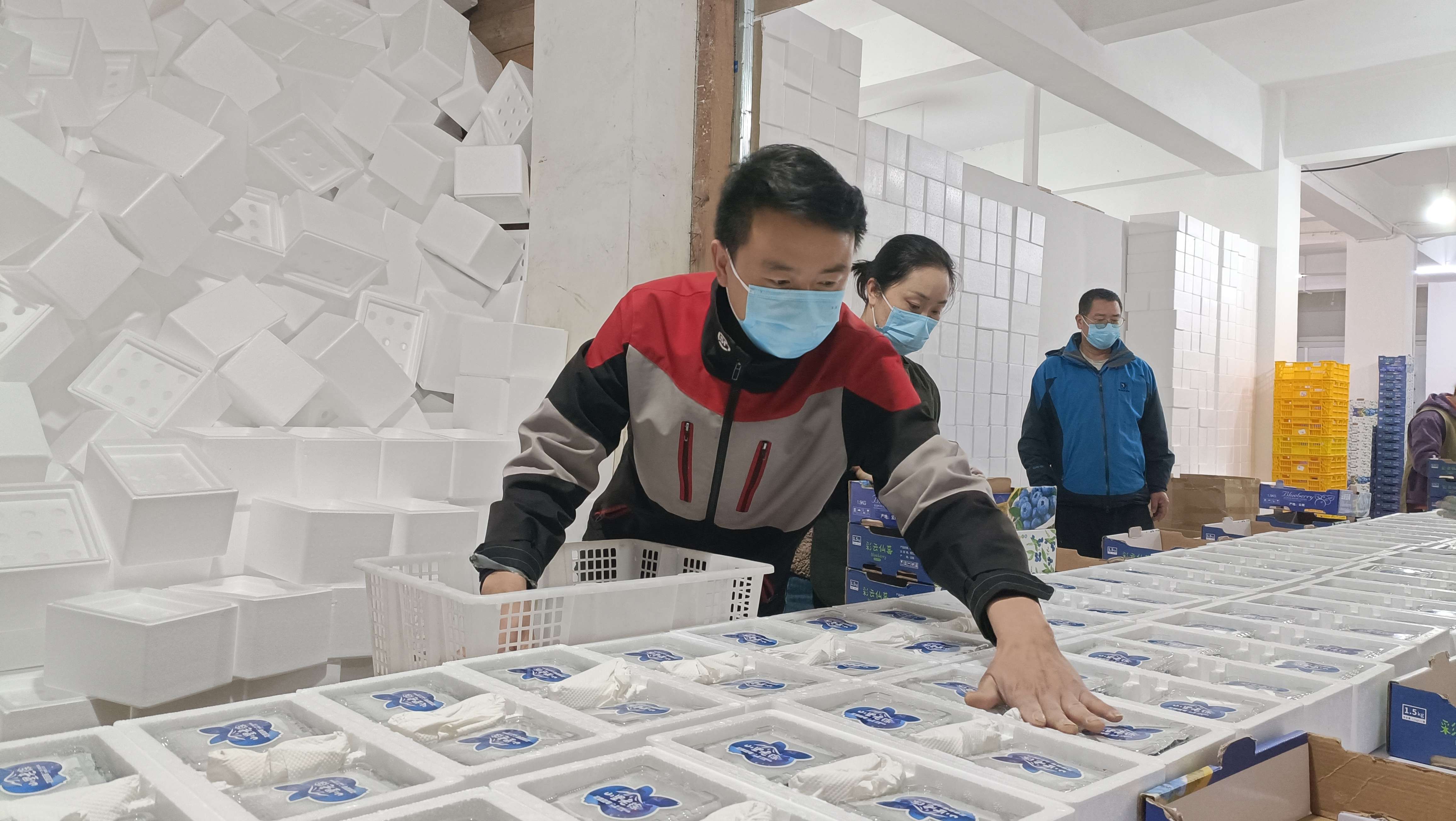 微信图片_20250402160303.jpg