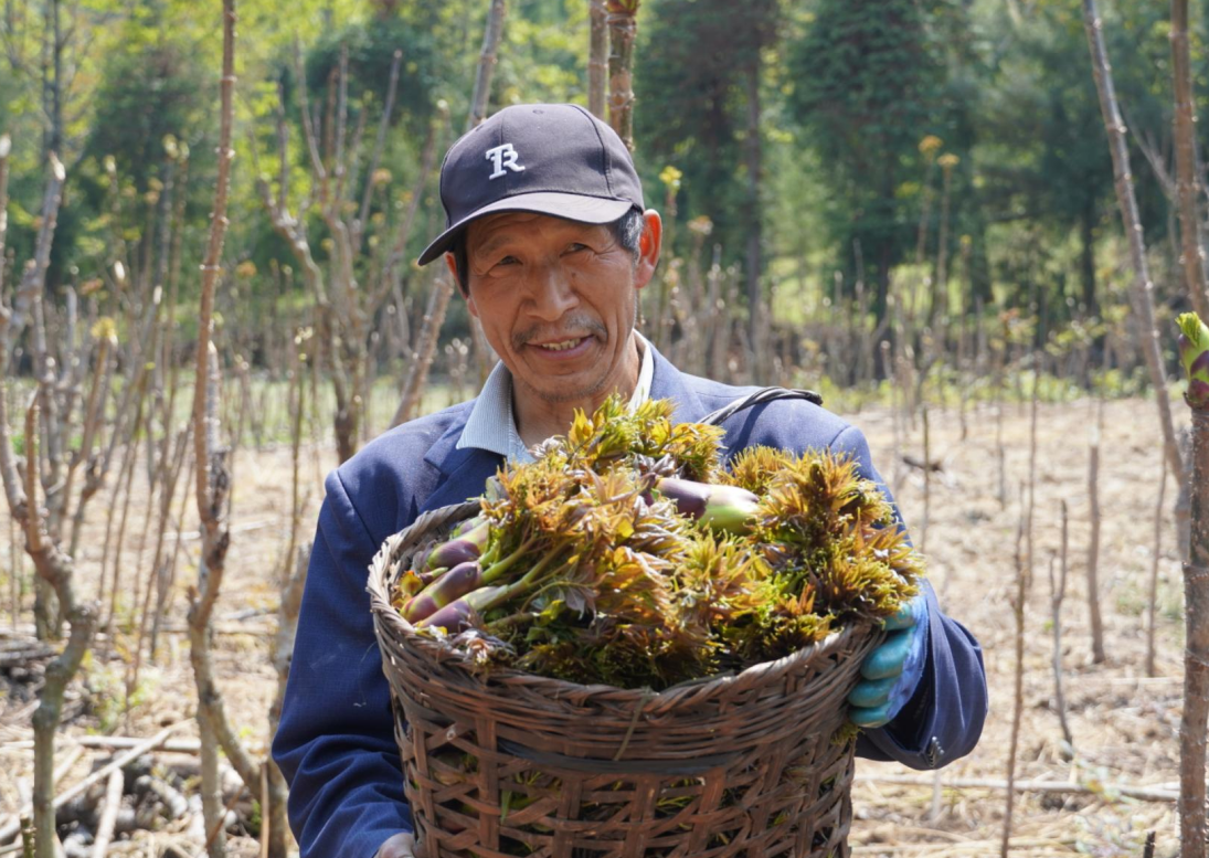 打云村段习方.png