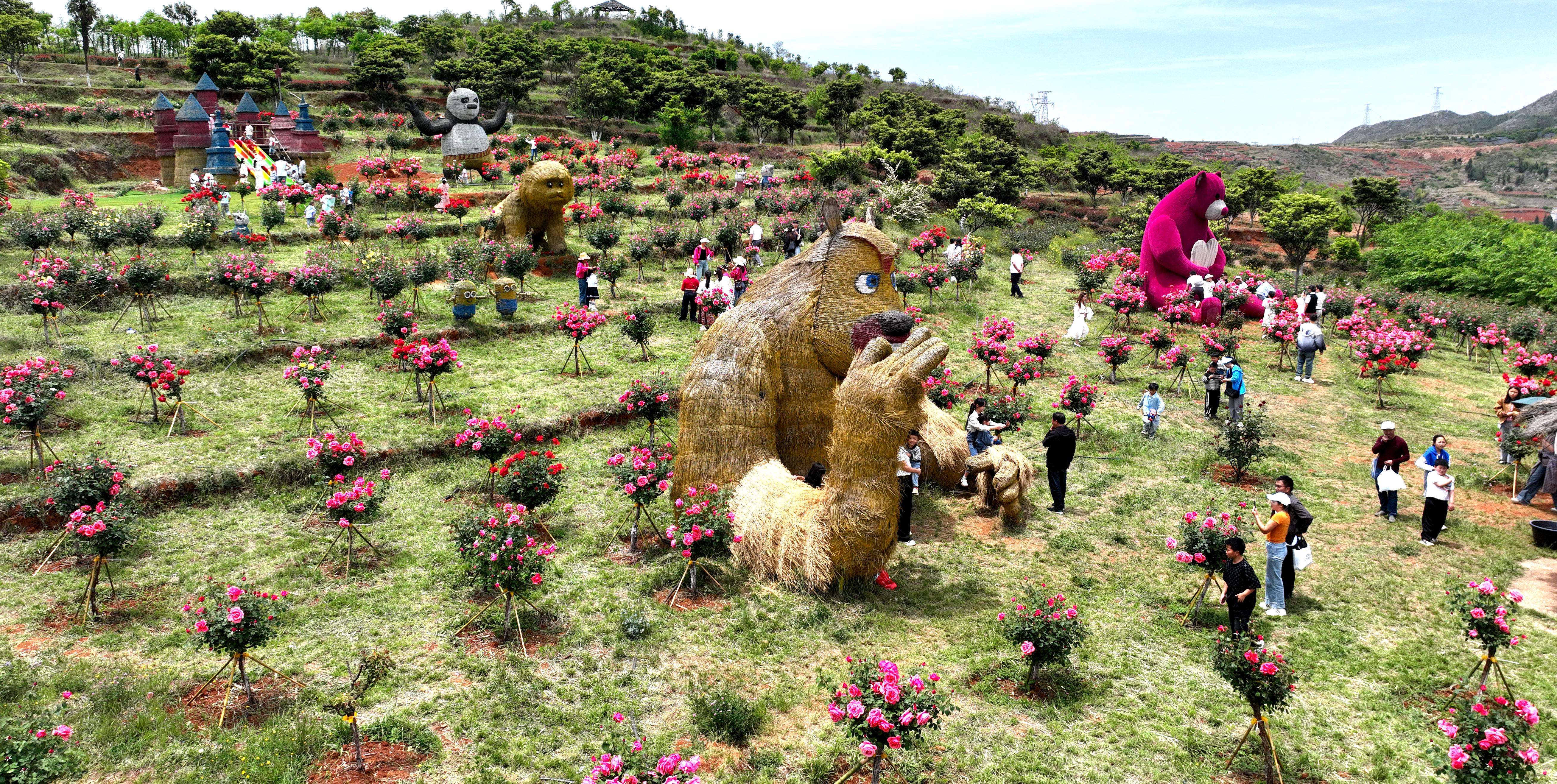 游客竞相前往月季花海赏花 2025年5月1日 吴振坤摄.jpg