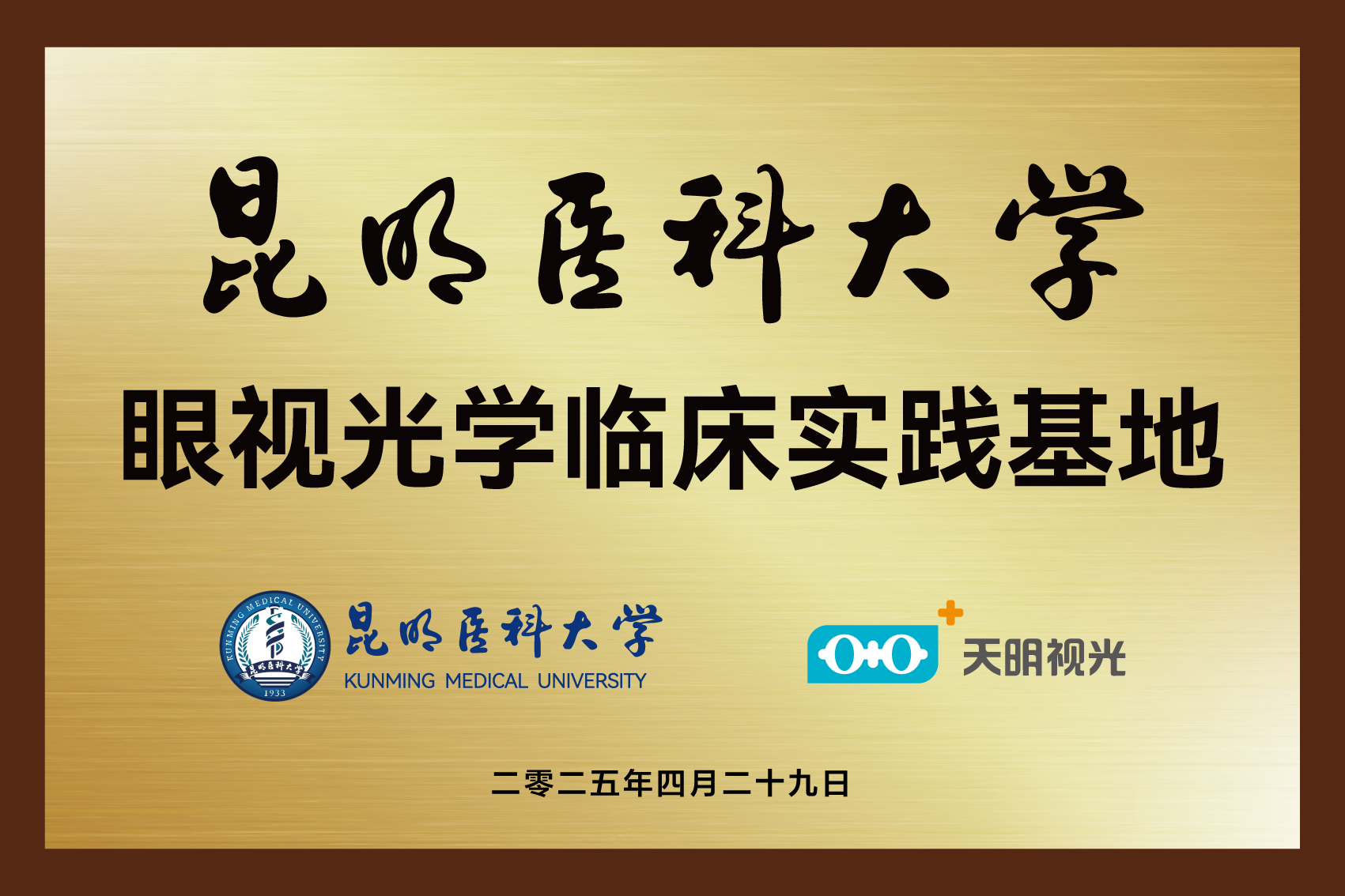 天明视光图5.png