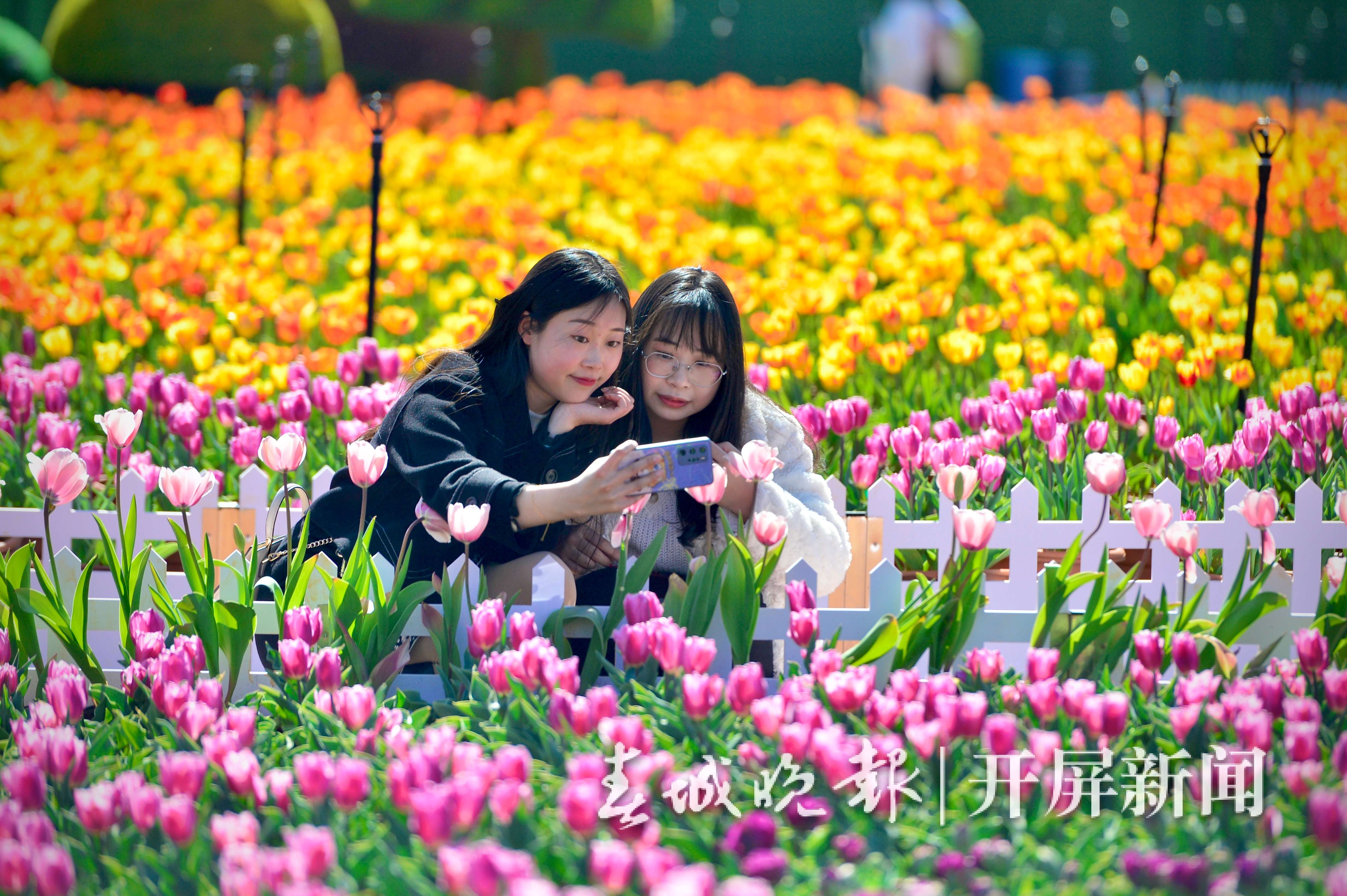 微信图片_20230201185511.jpg