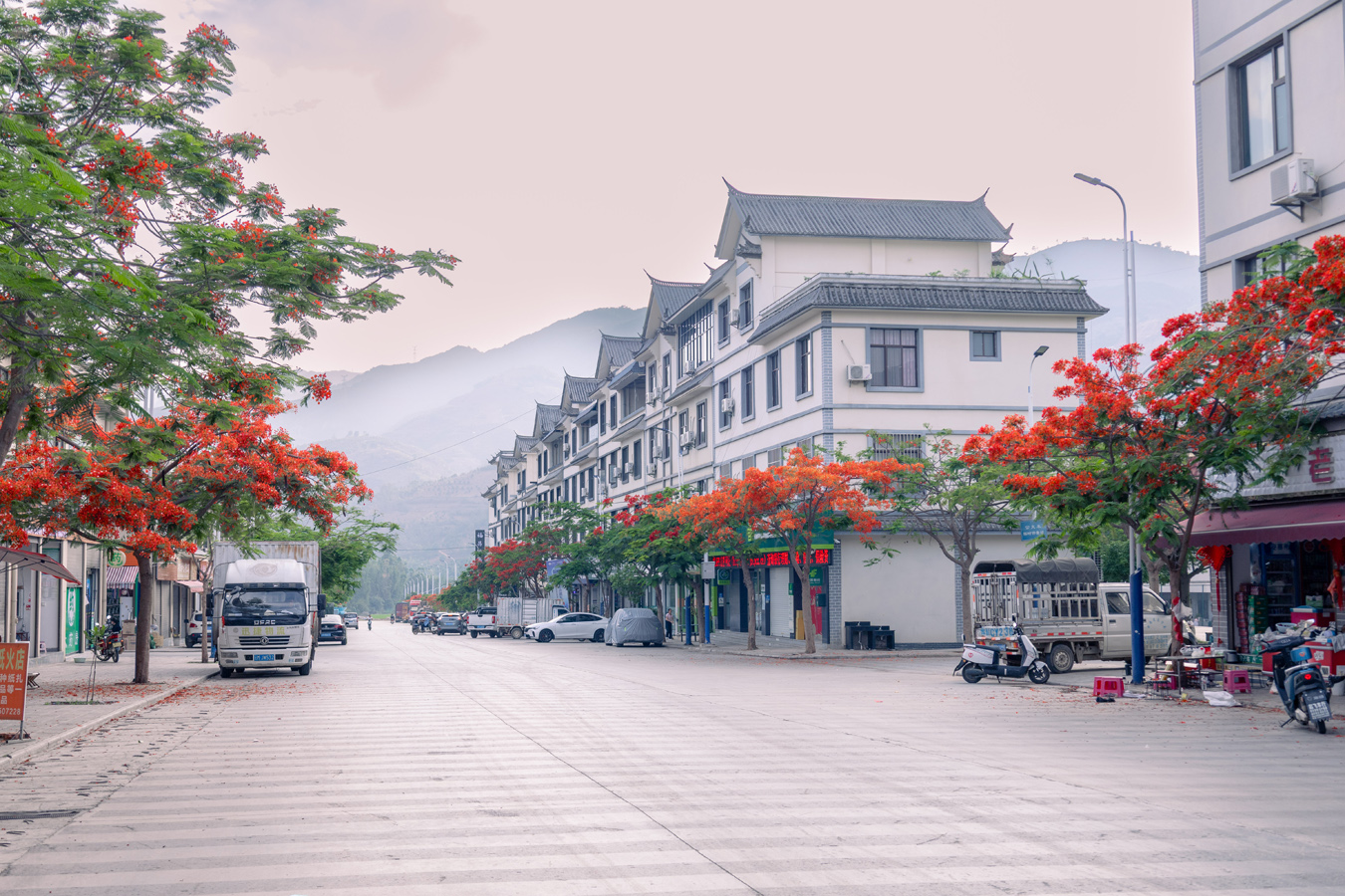 街边路旁盛开的凤凰花 段春丽摄 (5).jpg