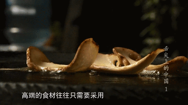 野生菌