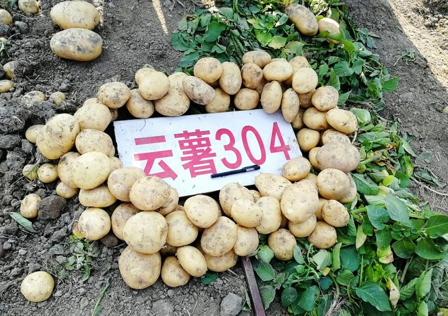 微信图片_20250529233801.png