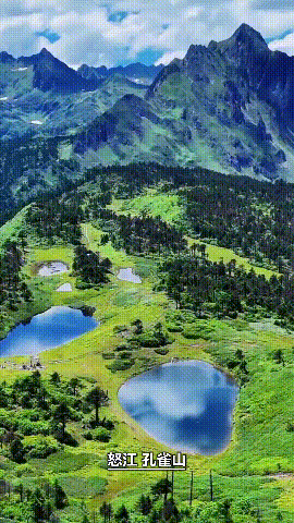 孔雀山.gif