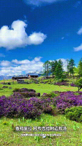 6月16日(1) (1).gif