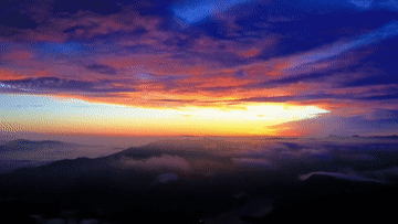 105012025053100019182.gif