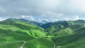 105012025053100019138.gif
