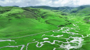 105012025053100019086.gif