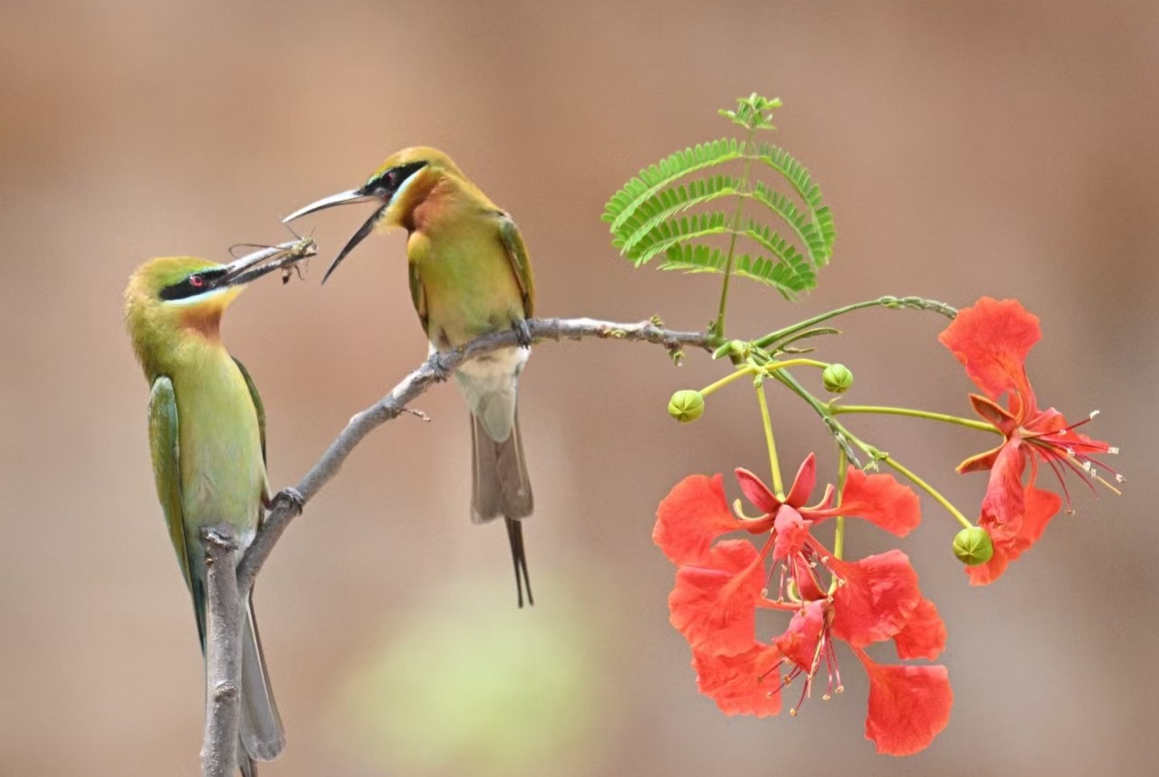 8fab7bbca514aca973ebb1c2cb2715d3.jpg