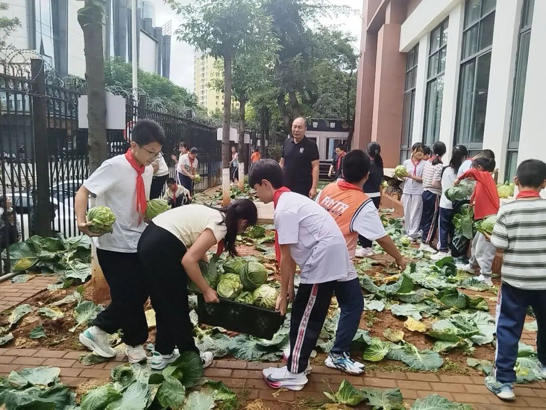 联盟小学