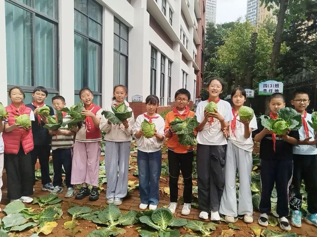 联盟小学