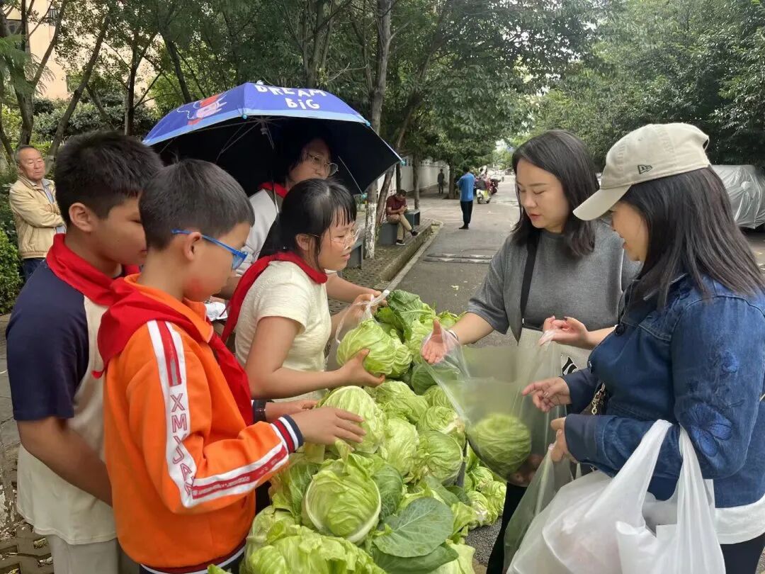 联盟小学