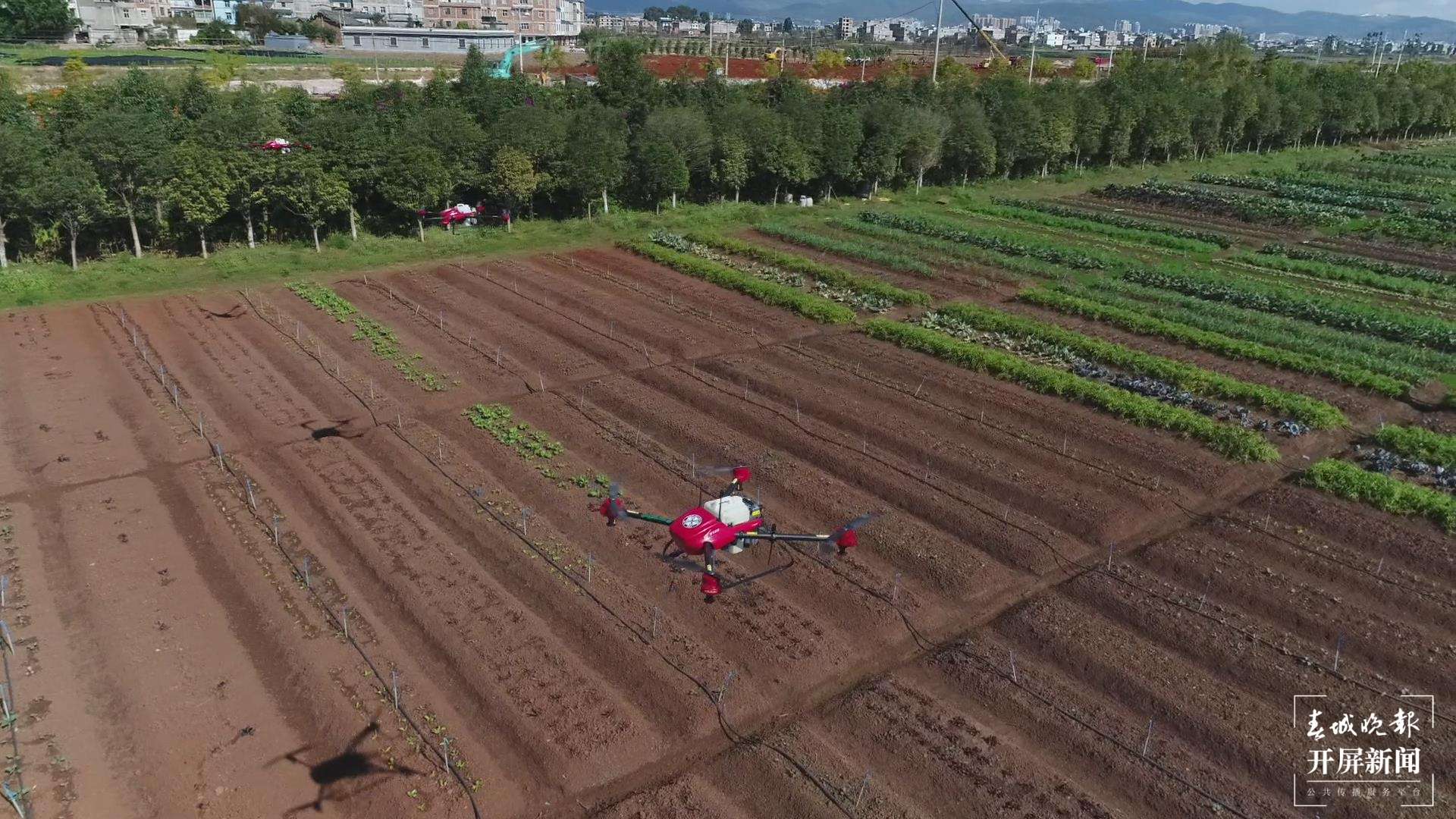 无人机群执行植保任务.jpg