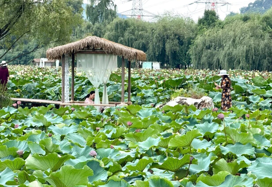 微信图片_20250917121611_133_128.png