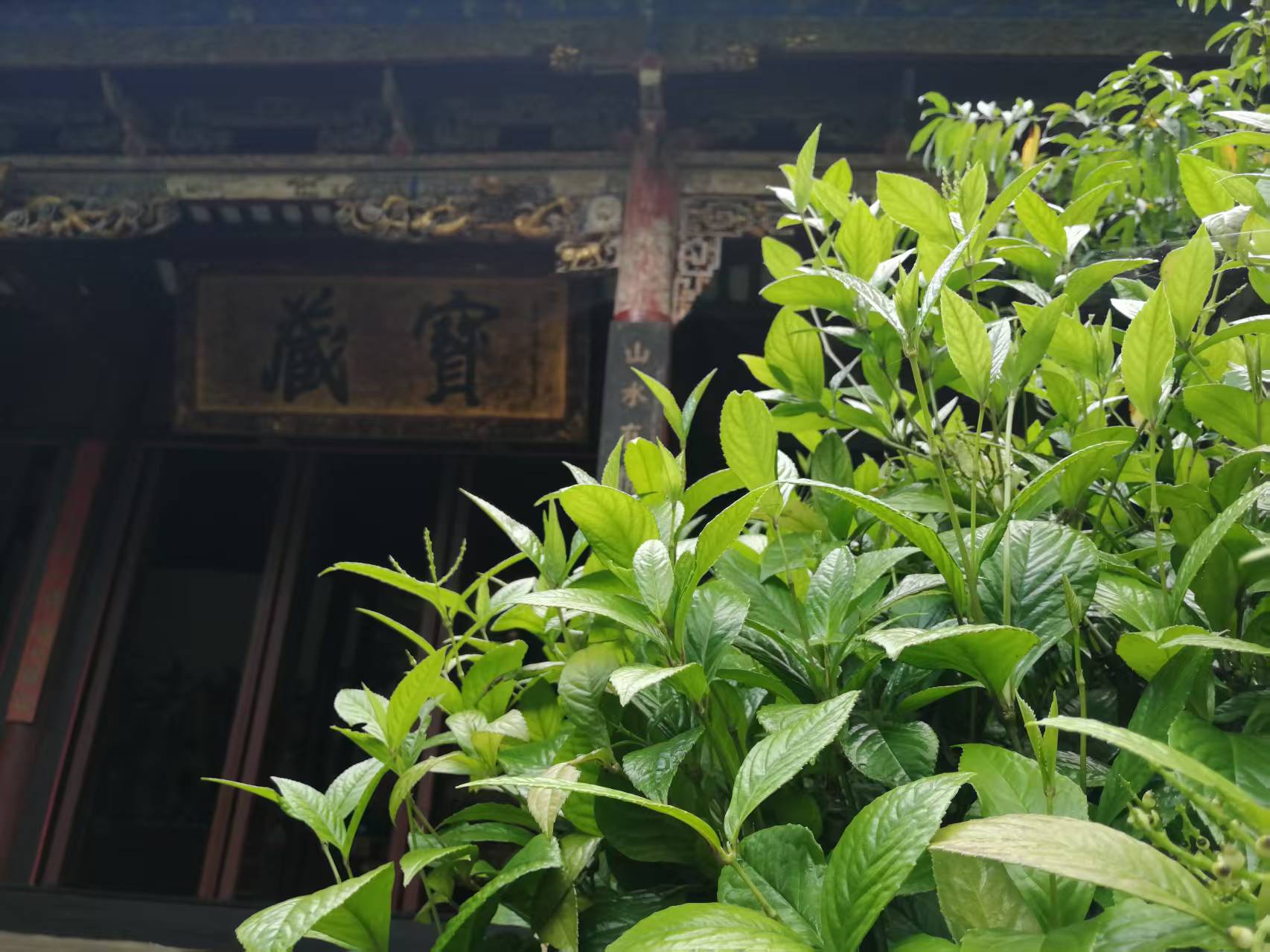 微信图片_20250917162750.jpg