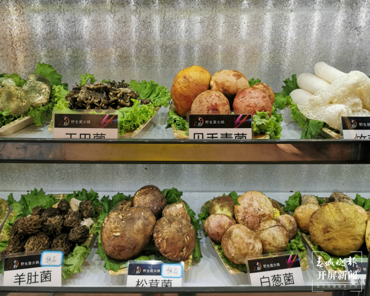 野生菌（春城晚报-开屏新闻记者 李赛 摄）