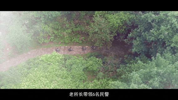 000.gif