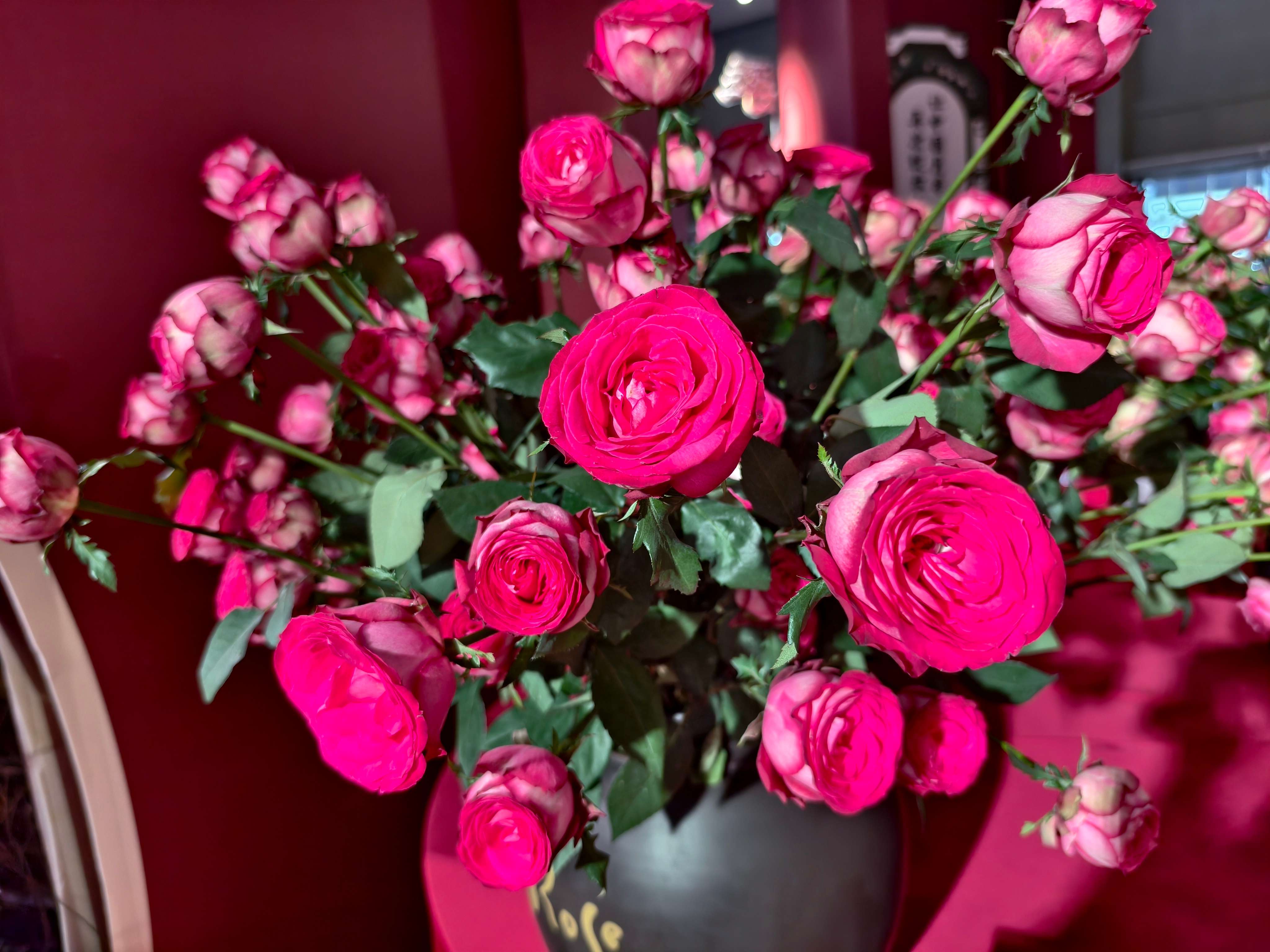 IMG_20250919_164646.jpg